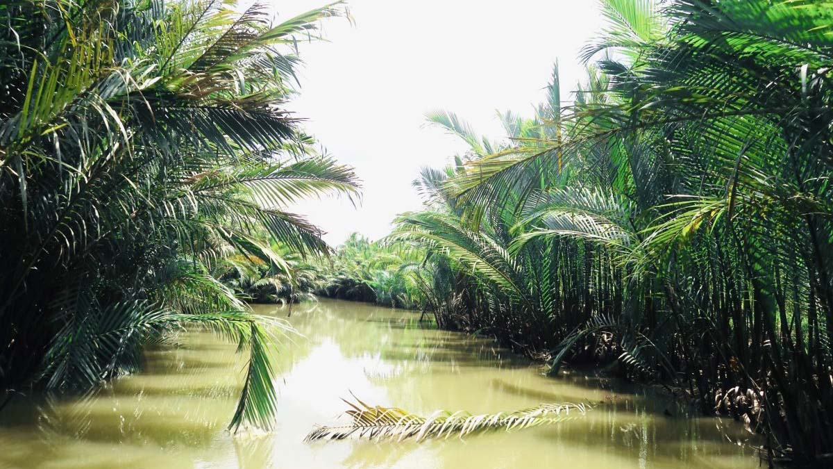 Beautiful coconut small canal in Ben Tre
