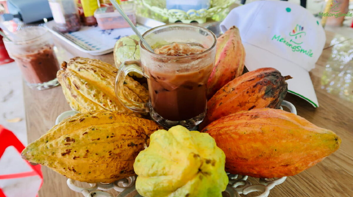 Enjoy chocolate drink at Cacao farm